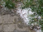 Foto4.JPG