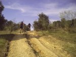 PICT0044.jpg