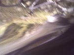 PICT0050.jpg