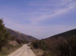 IMG_0677.jpg