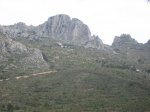 IMG_1654.jpg