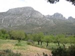IMG_1655.jpg