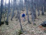 28032008_019.jpg