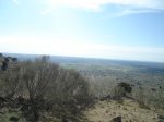 DSC01522.JPG