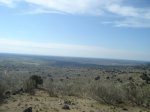 DSC01523.JPG