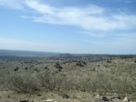 DSC01524.JPG