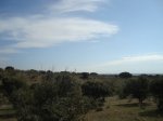 DSC01525.JPG