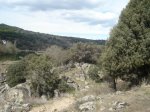 DSC01530.JPG