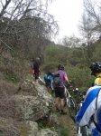 DSC01538.JPG
