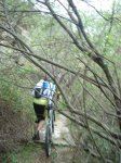 DSC01542.JPG