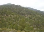 StJoan-TalaiaStVicent 06.jpg