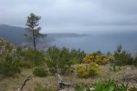StJoan-TalaiaStVicent 13.jpg