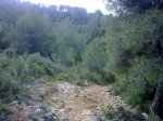 Imagen046.jpg