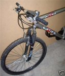 carraro1.jpg