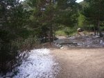 Foto14.JPG