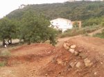 Foto0021.jpg