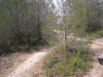 PC200389.jpg