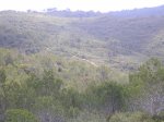 PC200391.jpg