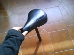 DSC00234.JPG