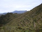2009.03.29 005.jpg