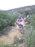 100_0039.jpg