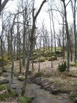 Foto 016.JPG
