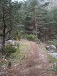 Foto 040.JPG