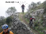 20090329_06.JPG