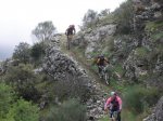 20090329_07.jpg