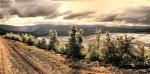 Trevijano_fhdr_1024x508.jpg
