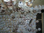 2009-03-25 100714.jpg