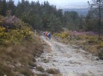 DSC00383.JPG