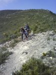DSC07447.jpg