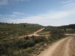 Ruta 11. Ayora-Caroig (11).JPG