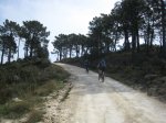 Ruta 11. Ayora-Caroig (50).JPG