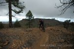 DSC_2284.jpg