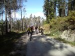 DSC00007.jpg