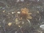 29-03-09_1209.jpg