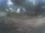 29-03-09_1220.jpg