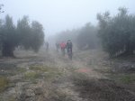 DSC08371.jpg