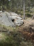 DSC08871.jpg