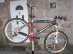storck 2.jpg