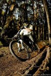 felix-peralte 04 low.jpg