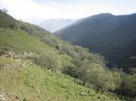 IMG_3513.jpg