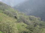 IMG_3516.jpg