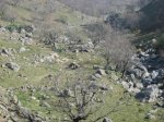 IMG_3519.jpg
