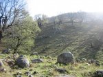 IMG_3533.jpg