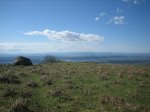 IMG_3534.jpg
