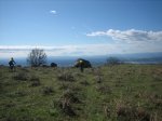IMG_3536.jpg
