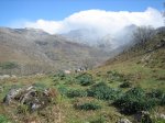 IMG_3541.jpg